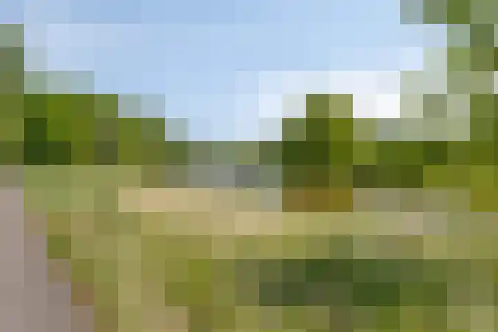 Kleine Beerpad 11 Eindhoven thumbnail 35