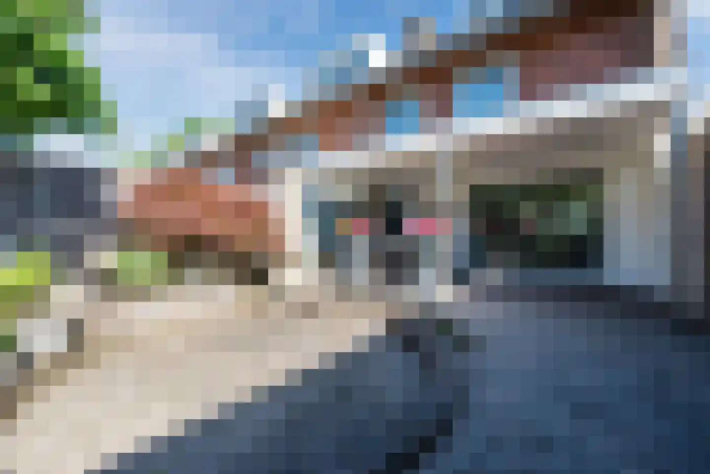 Kleine Beerpad 19 Eindhoven thumbnail 16
