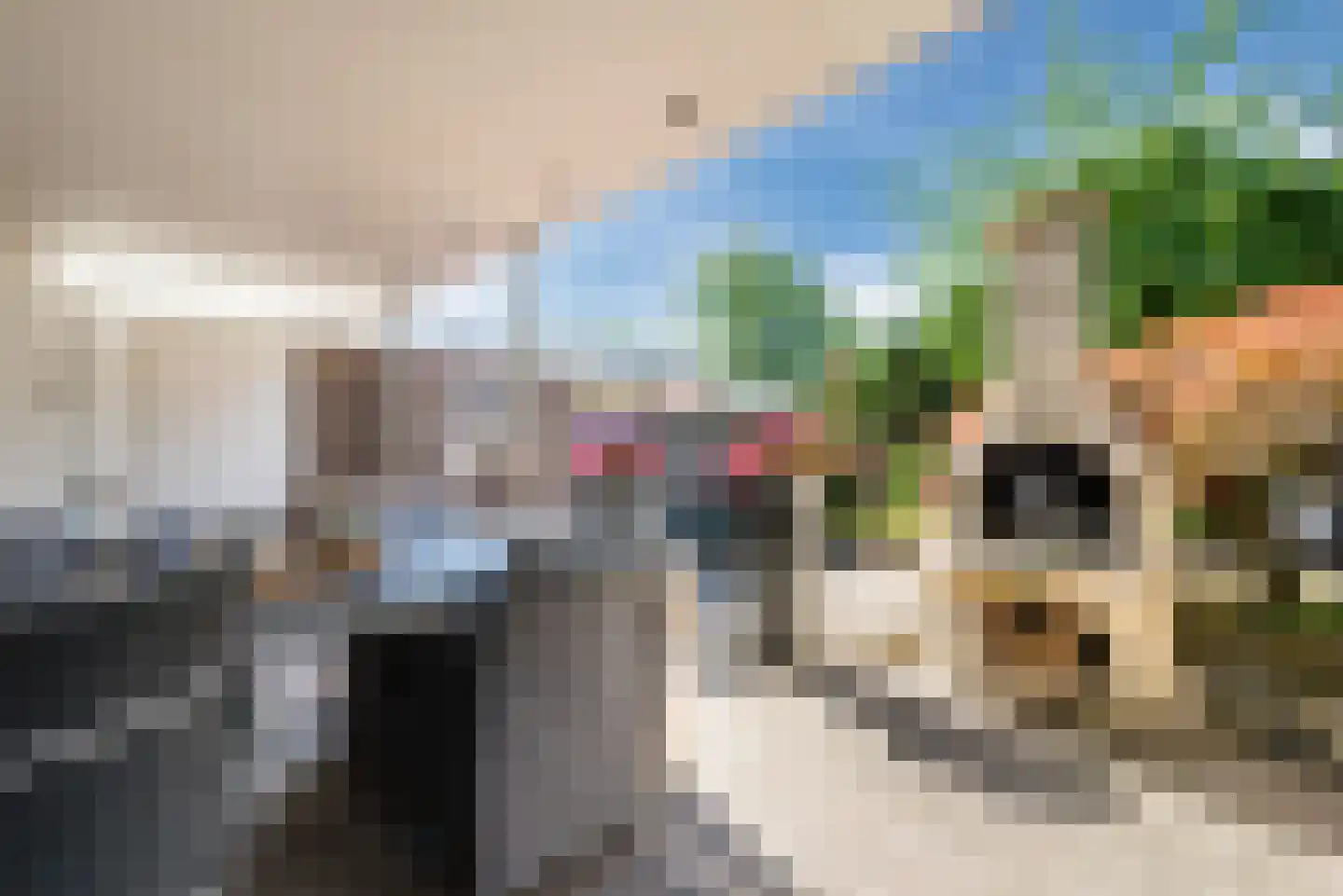 Kleine Beerpad 19 Eindhoven thumbnail 18
