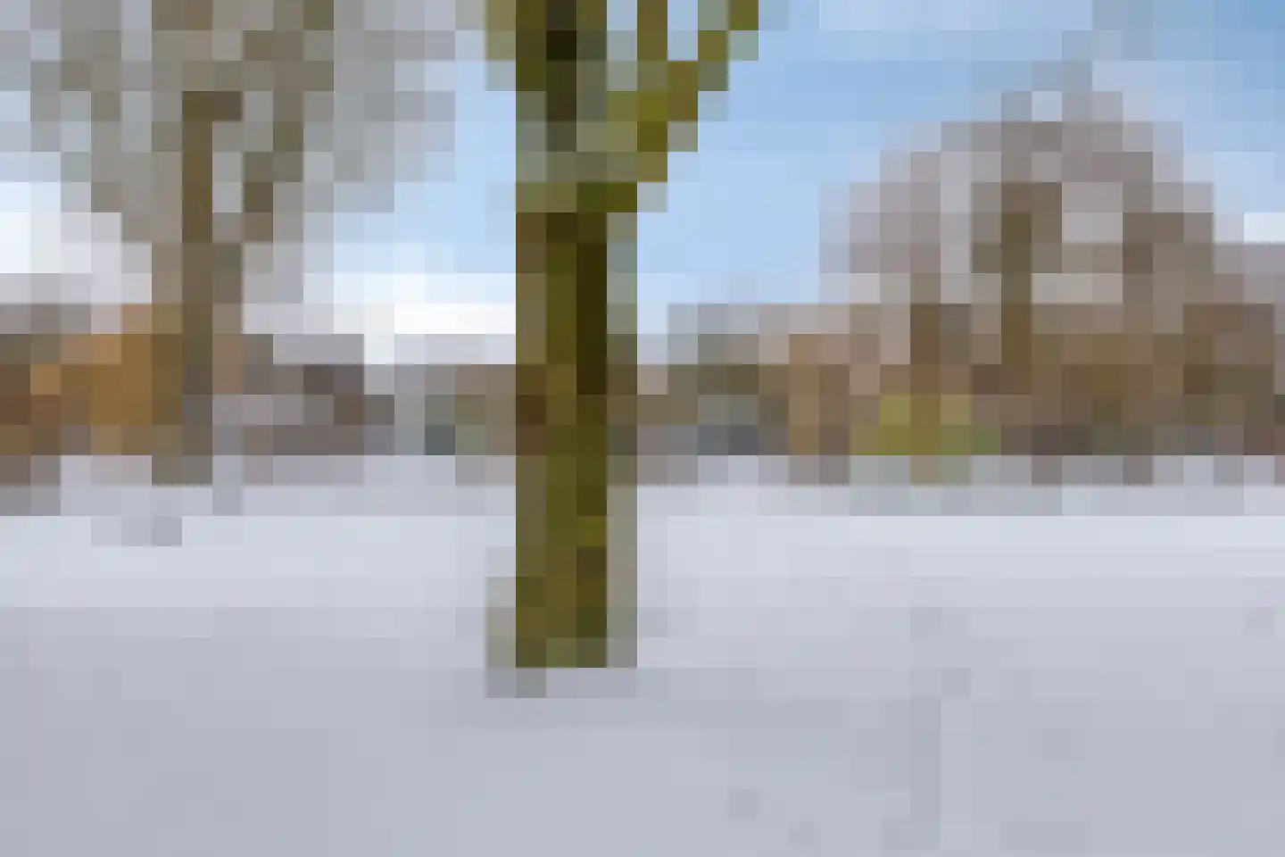 Kleine Beerpad 27 Eindhoven thumbnail 37