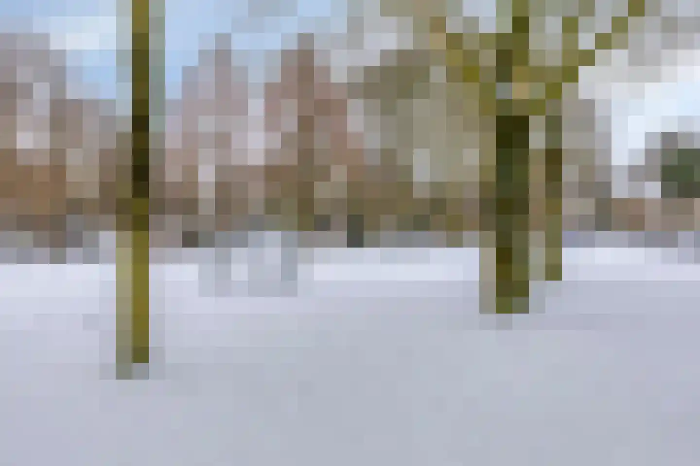Kleine Beerpad 27 Eindhoven thumbnail 38