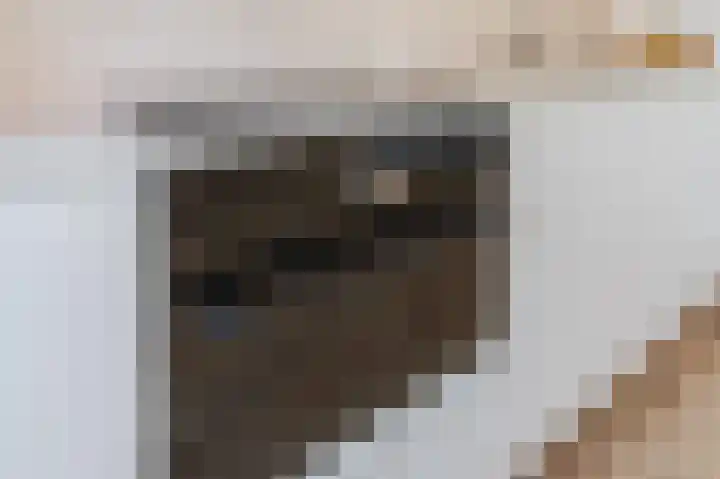 Kleine Beerpad 39 Eindhoven thumbnail 9