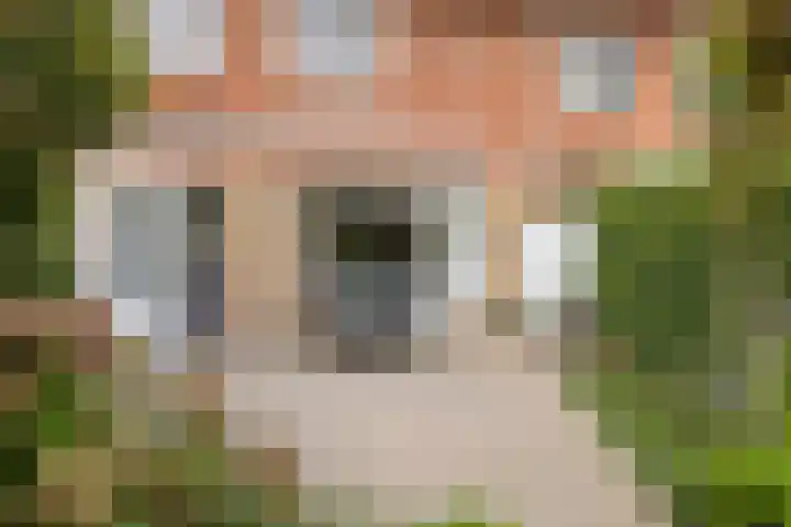 Kleine Beerpad 43 Eindhoven thumbnail 30