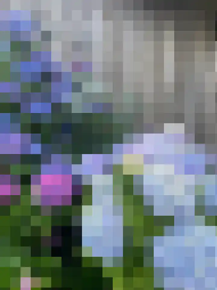 Kleine Beerpad 43 Eindhoven thumbnail 33