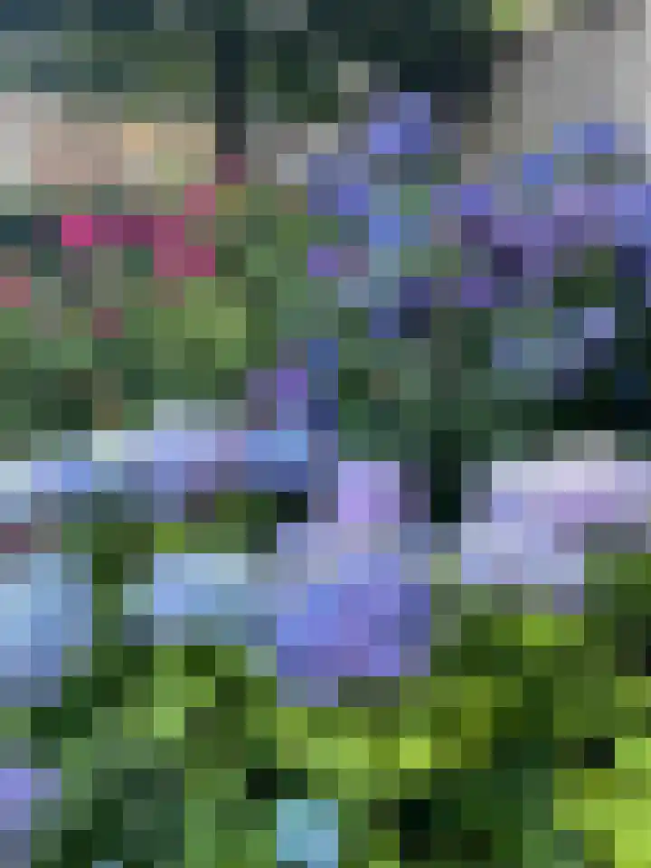 Kleine Beerpad 43 Eindhoven thumbnail 34