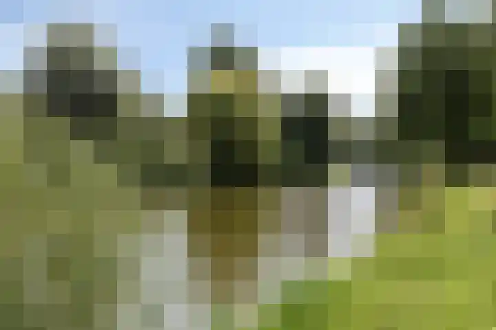 Kleine Beerpad 43 Eindhoven thumbnail 36