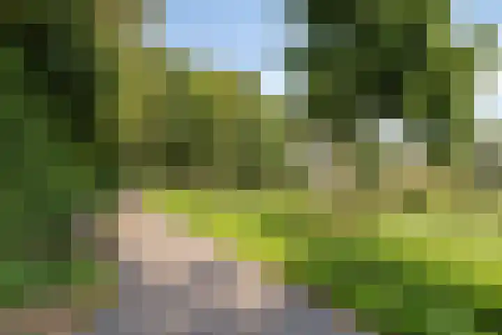 Kleine Beerpad 43 Eindhoven thumbnail 38