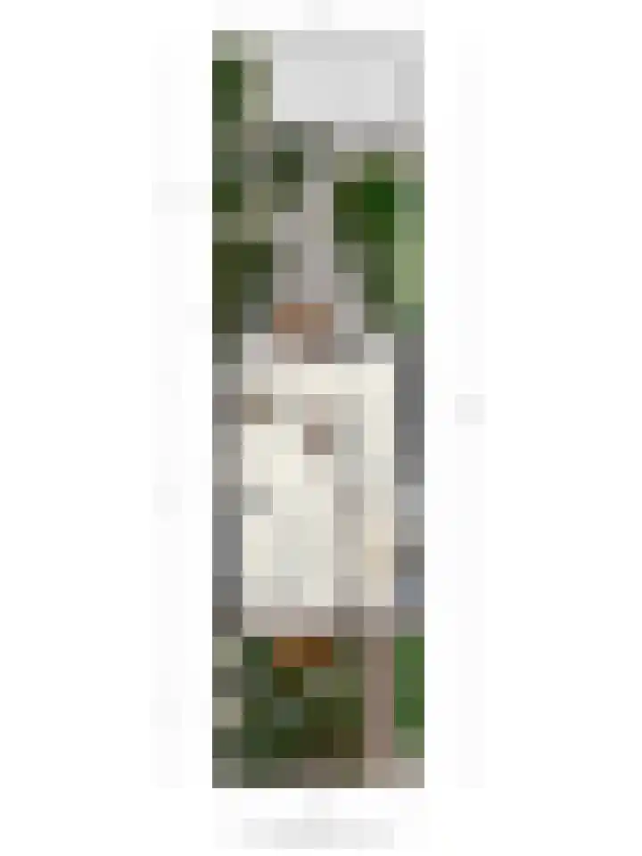 Kleine Beerpad 43 Eindhoven thumbnail 39