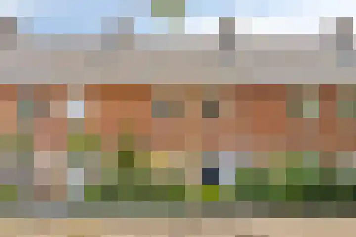 Kleine Beerpad 43 Eindhoven thumbnail 44