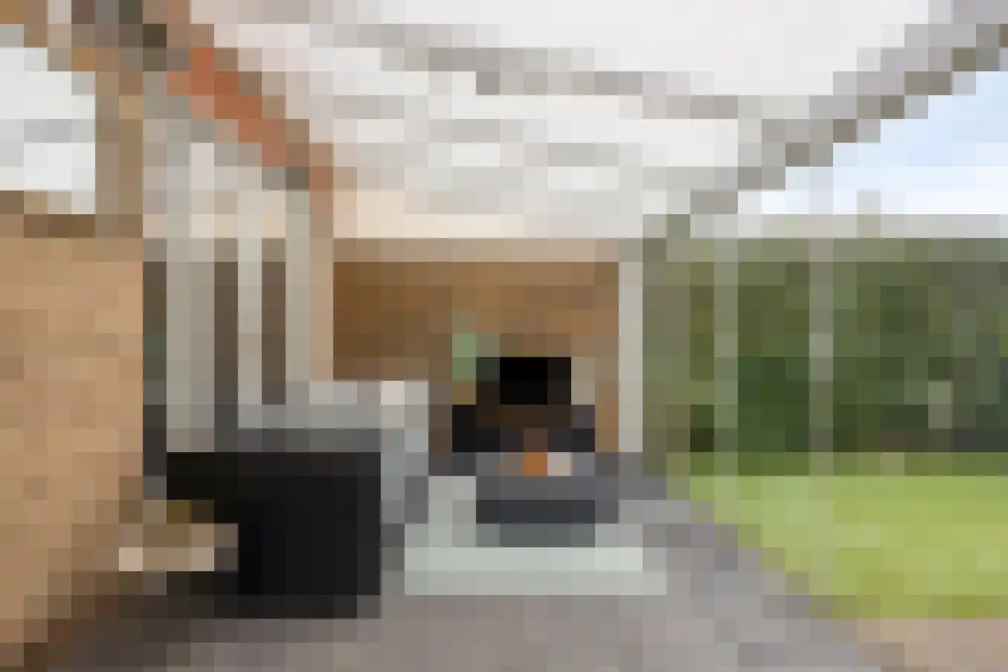 Kleine Beerpad 55 Eindhoven thumbnail 28