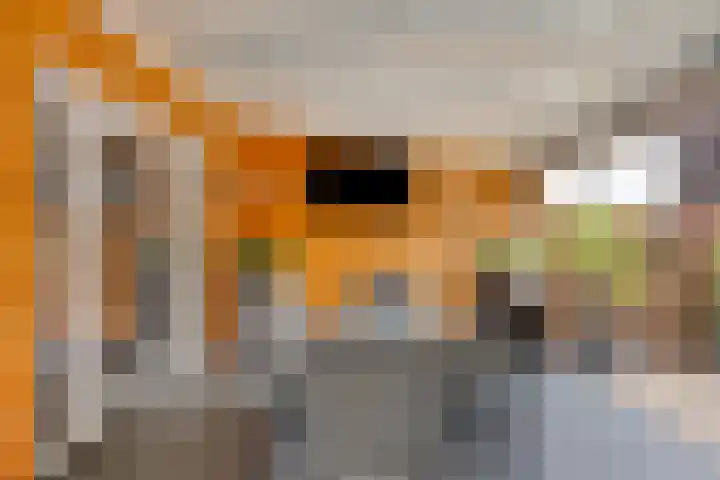 Kleine Beerpad 63 Eindhoven thumbnail 33