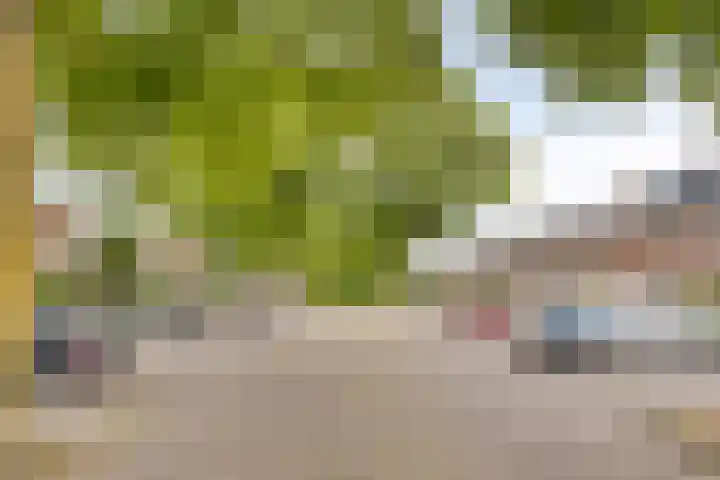 Kleine Beerpad 63 Eindhoven thumbnail 38