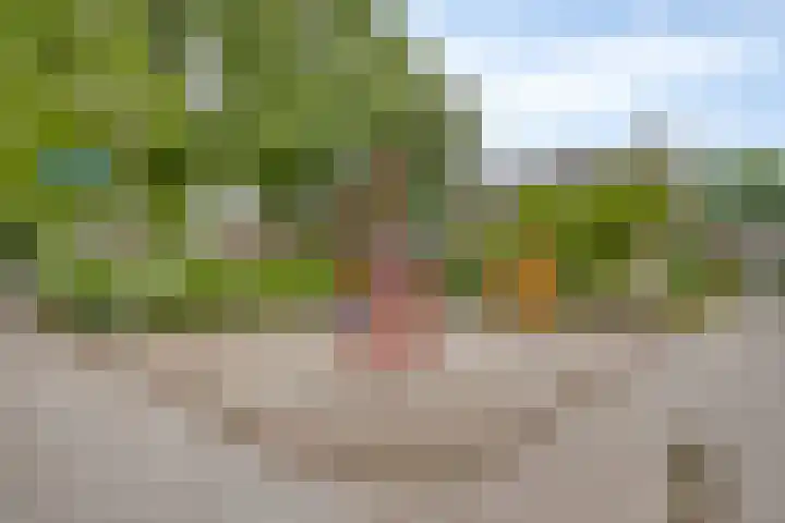 Kleine Beerpad 63 Eindhoven thumbnail 39