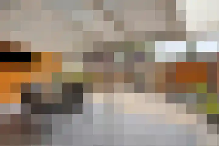 Kleine Beerpad 63 Eindhoven thumbnail 6