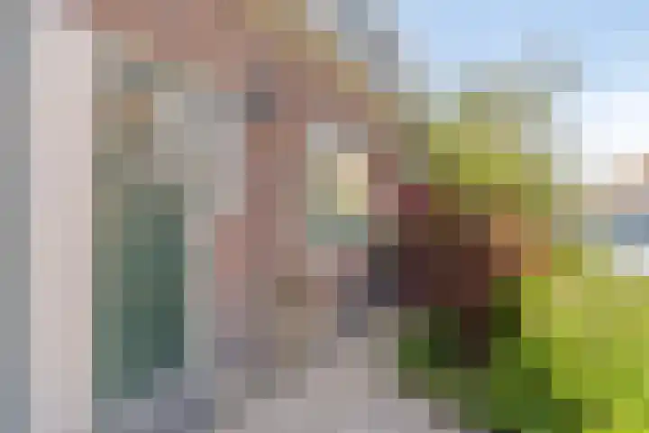 Kleine Beerstraat 23 Amsterdam thumbnail 7