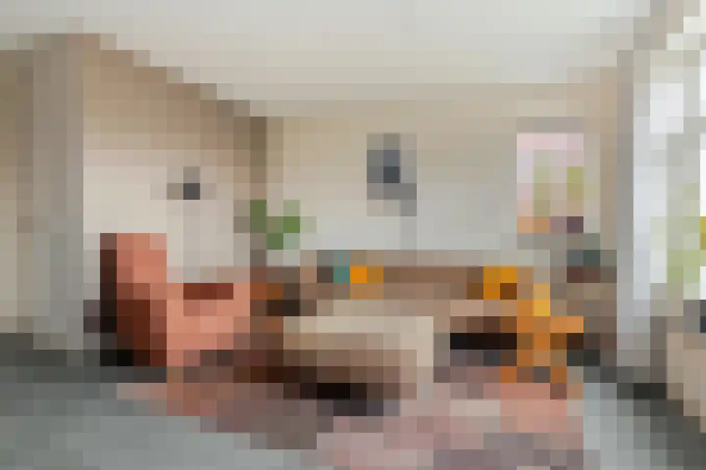 Kleine Beld 3 Olst thumbnail 10
