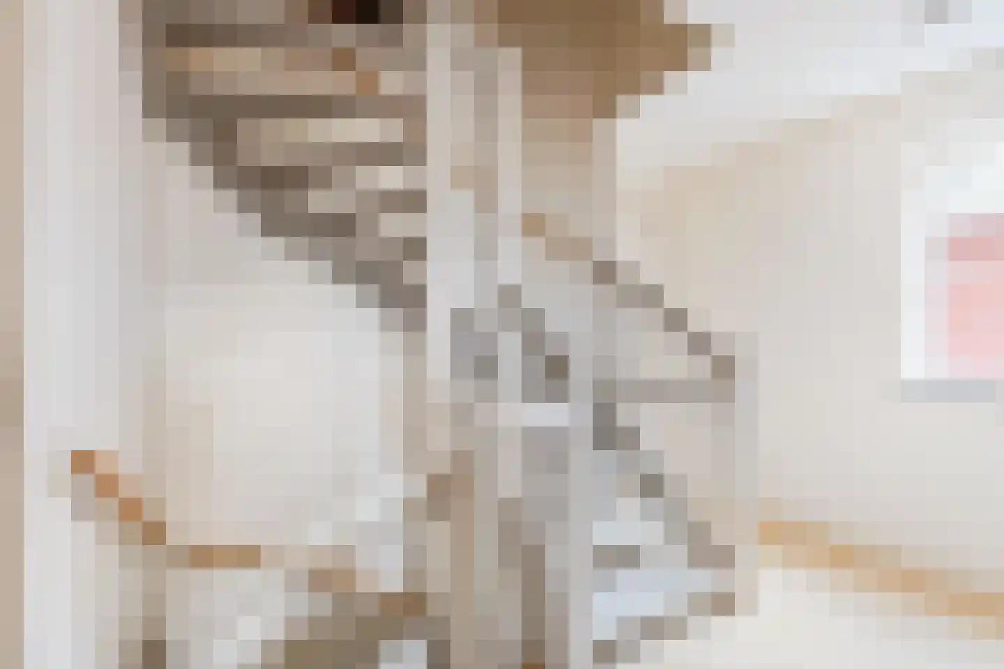 Kleine Beld 3 Olst thumbnail 32