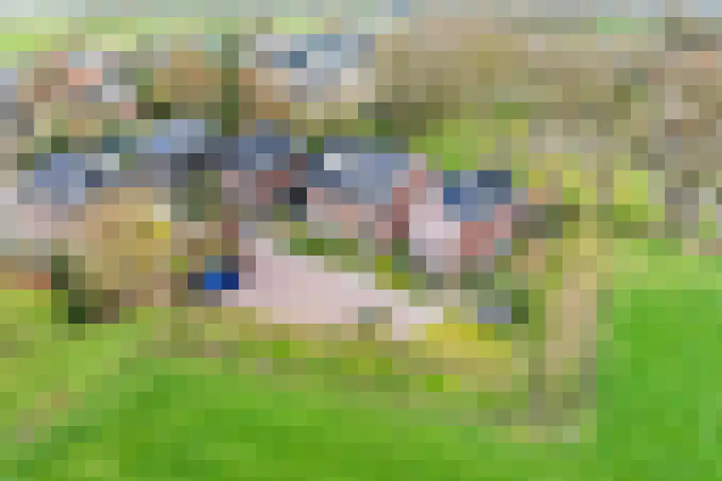 Kleine Beld 3 Olst thumbnail 6