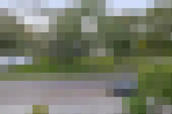 Kleine Belt 3 Veendam thumbnail 24
