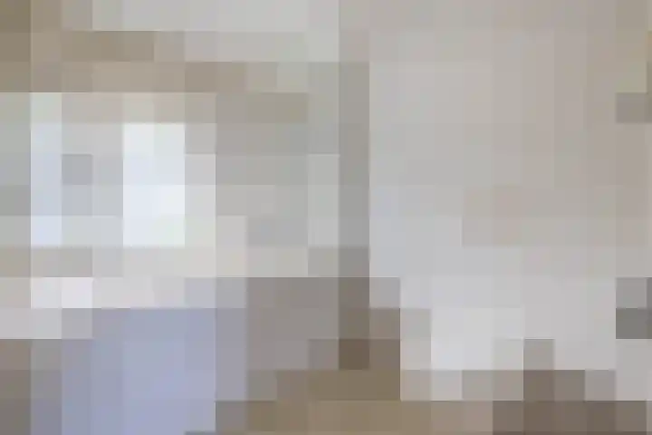 Kleine Belt 3 Veendam thumbnail 26