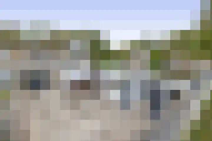 Kleine Belt 3 Veendam thumbnail 32