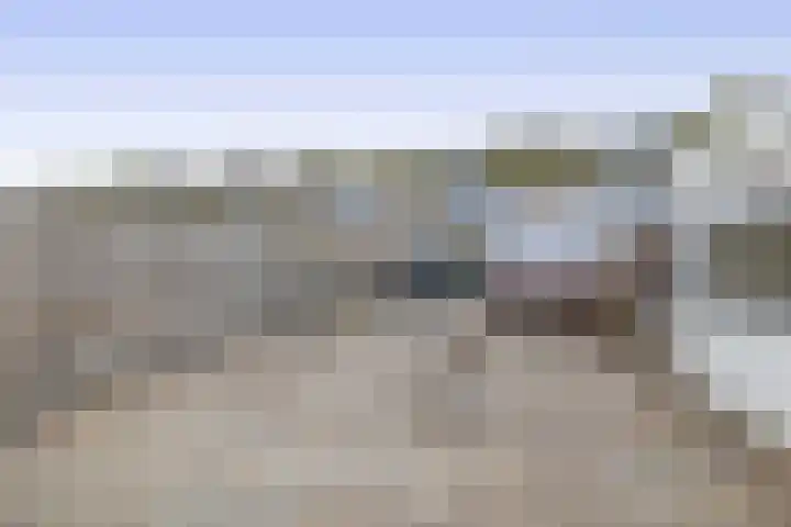 Kleine Belt 3 Veendam thumbnail 33