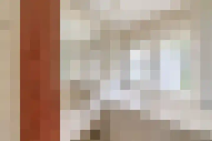 Kleine Belt 3 Veendam thumbnail 4