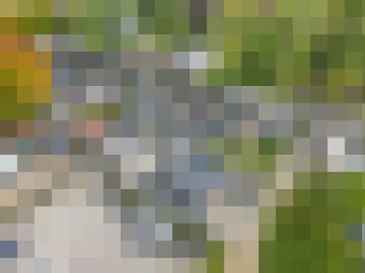 Kleine Belt 3 Veendam thumbnail 41