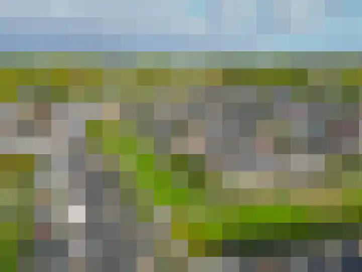 Kleine Belt 3 Veendam thumbnail 43