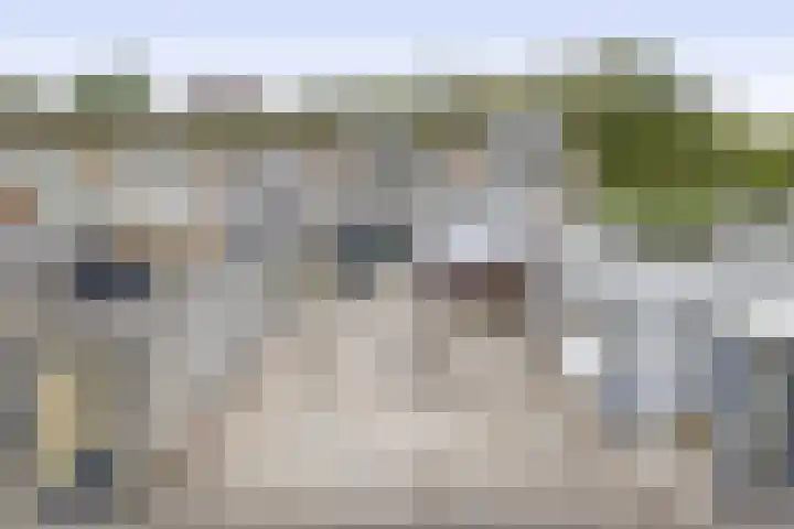 Kleine Belt 3 Veendam thumbnail 5