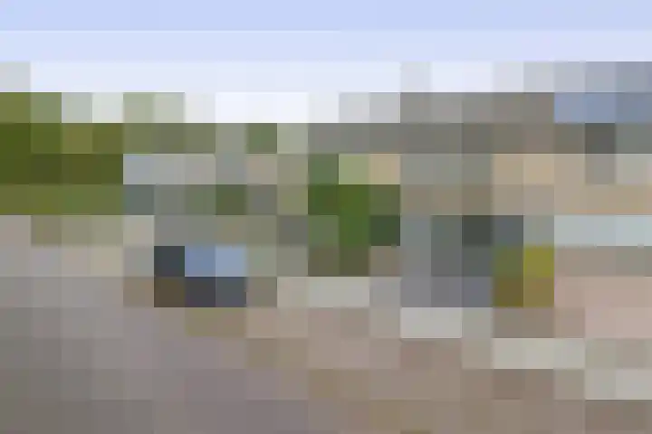 Kleine Belt 3 Veendam thumbnail 7