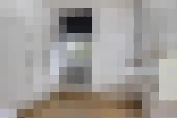 Kleine Belt 64 Delfzijl thumbnail 10