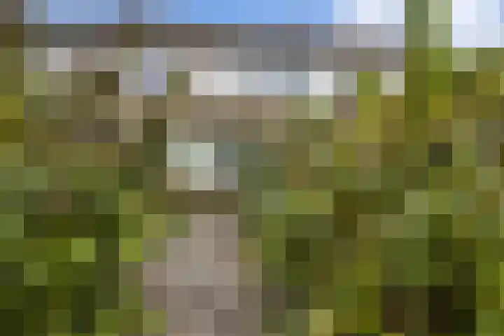 Kleine Belt 64 Delfzijl thumbnail 14