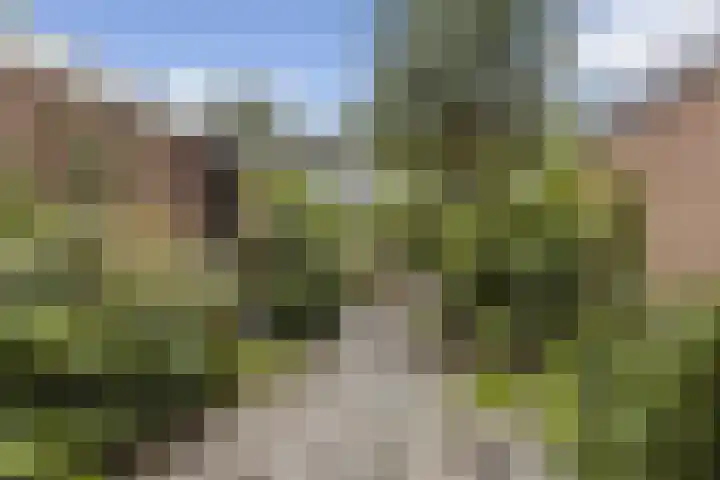 Kleine Belt 64 Delfzijl thumbnail 15