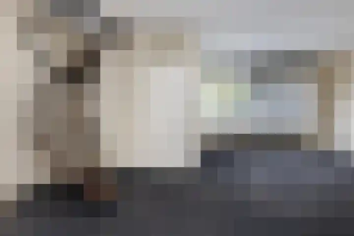 Kleine Belt 64 Delfzijl thumbnail 4