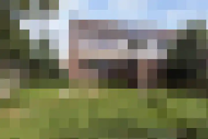 Kleine Belt 68 Delfzijl thumbnail 17