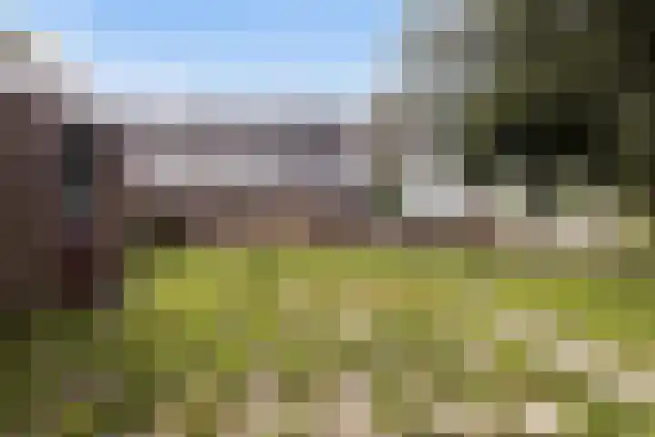 Kleine Belt 68 Delfzijl thumbnail 4