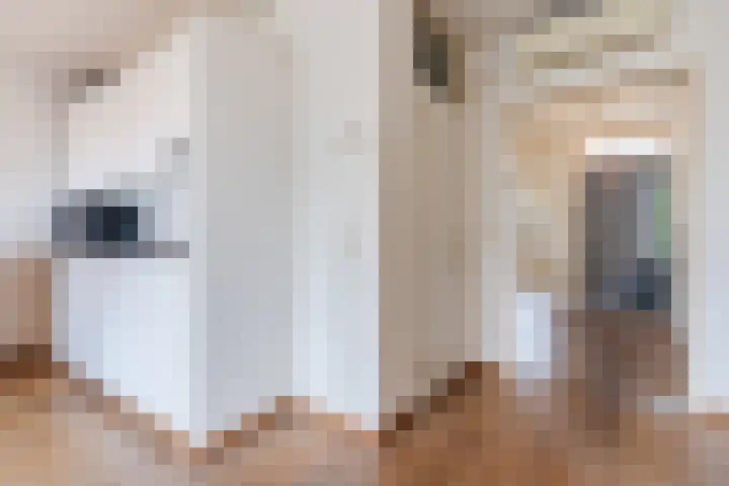 Kleine Berg 127 Eindhoven thumbnail 14