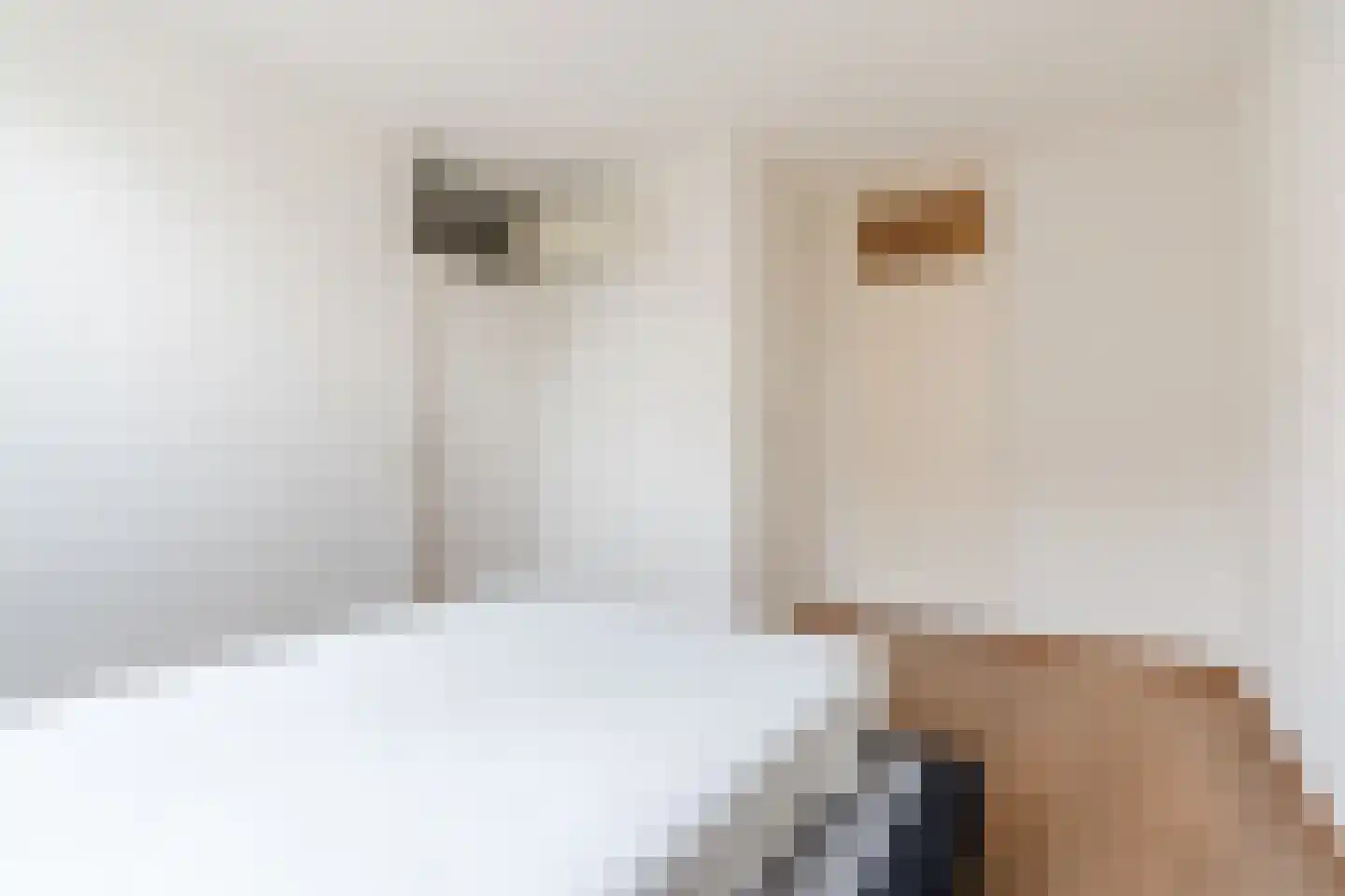 Kleine Berg 127 Eindhoven thumbnail 18