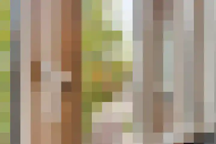 Kleine Berg 57 D Eindhoven thumbnail 10