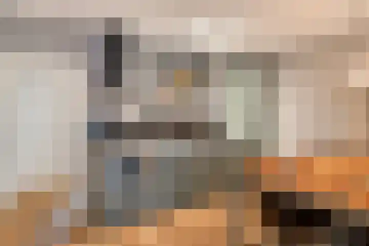 Kleine Berg 57 D Eindhoven thumbnail 13