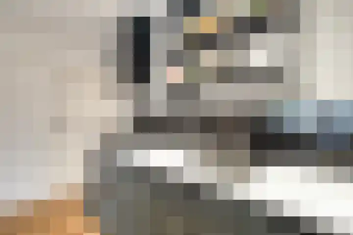 Kleine Berg 57 D Eindhoven thumbnail 14