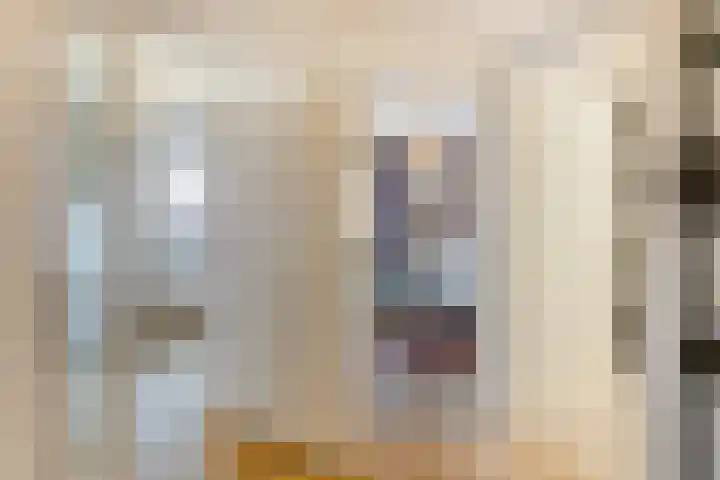 Kleine Berg 57 D Eindhoven thumbnail 16