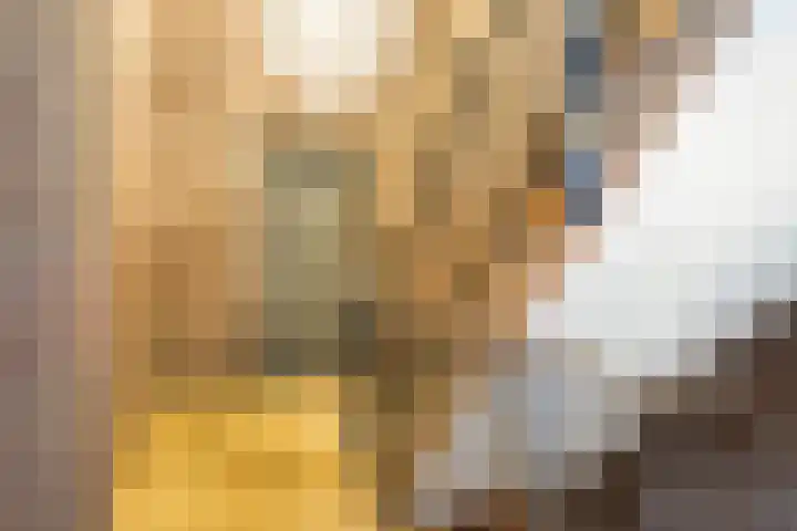 Kleine Berg 57 D Eindhoven thumbnail 4