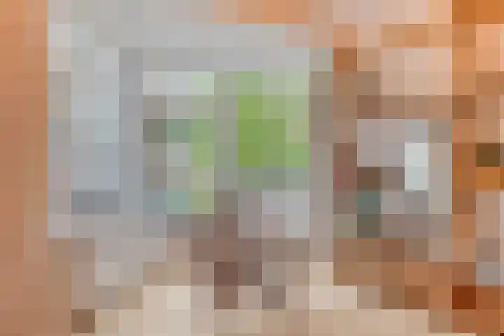 Kleine Berg 57 D Eindhoven thumbnail 9