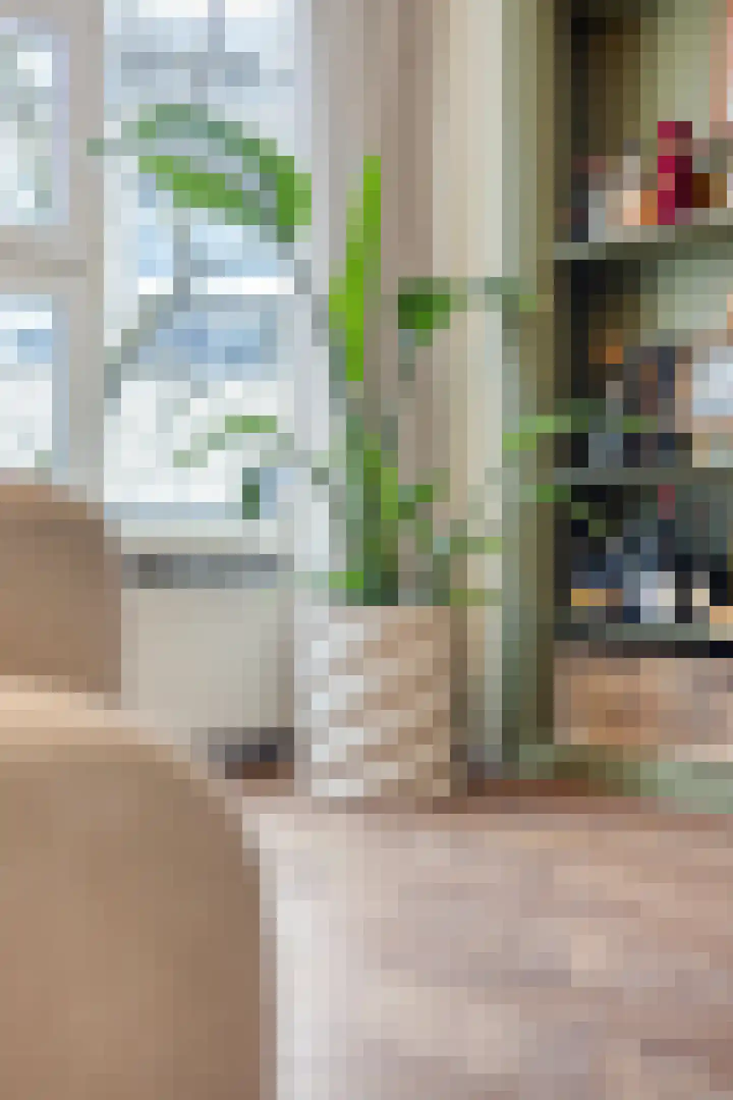 Kleine Berg 76 A Eindhoven thumbnail 34