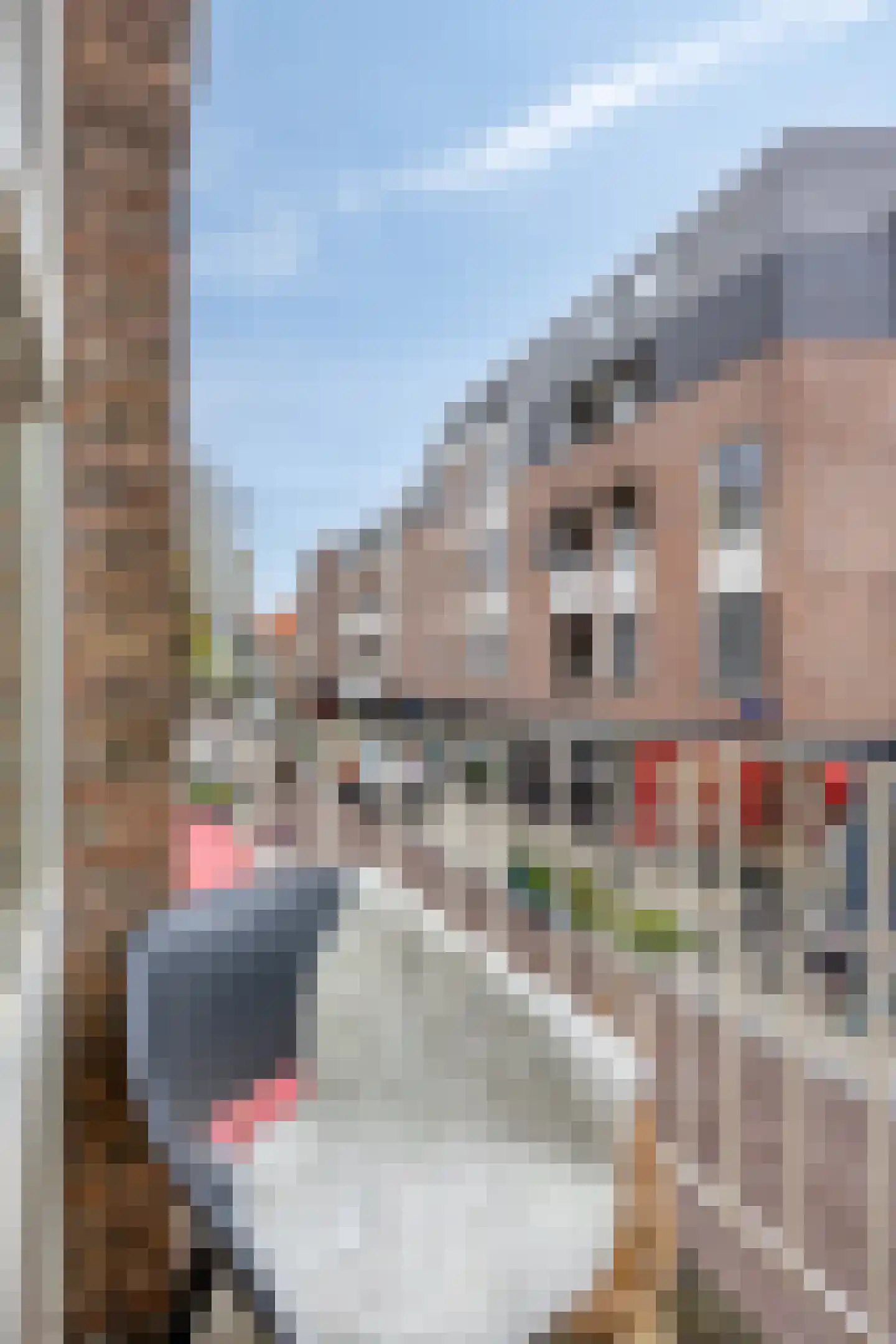 Kleine Berg 76 A Eindhoven thumbnail 39