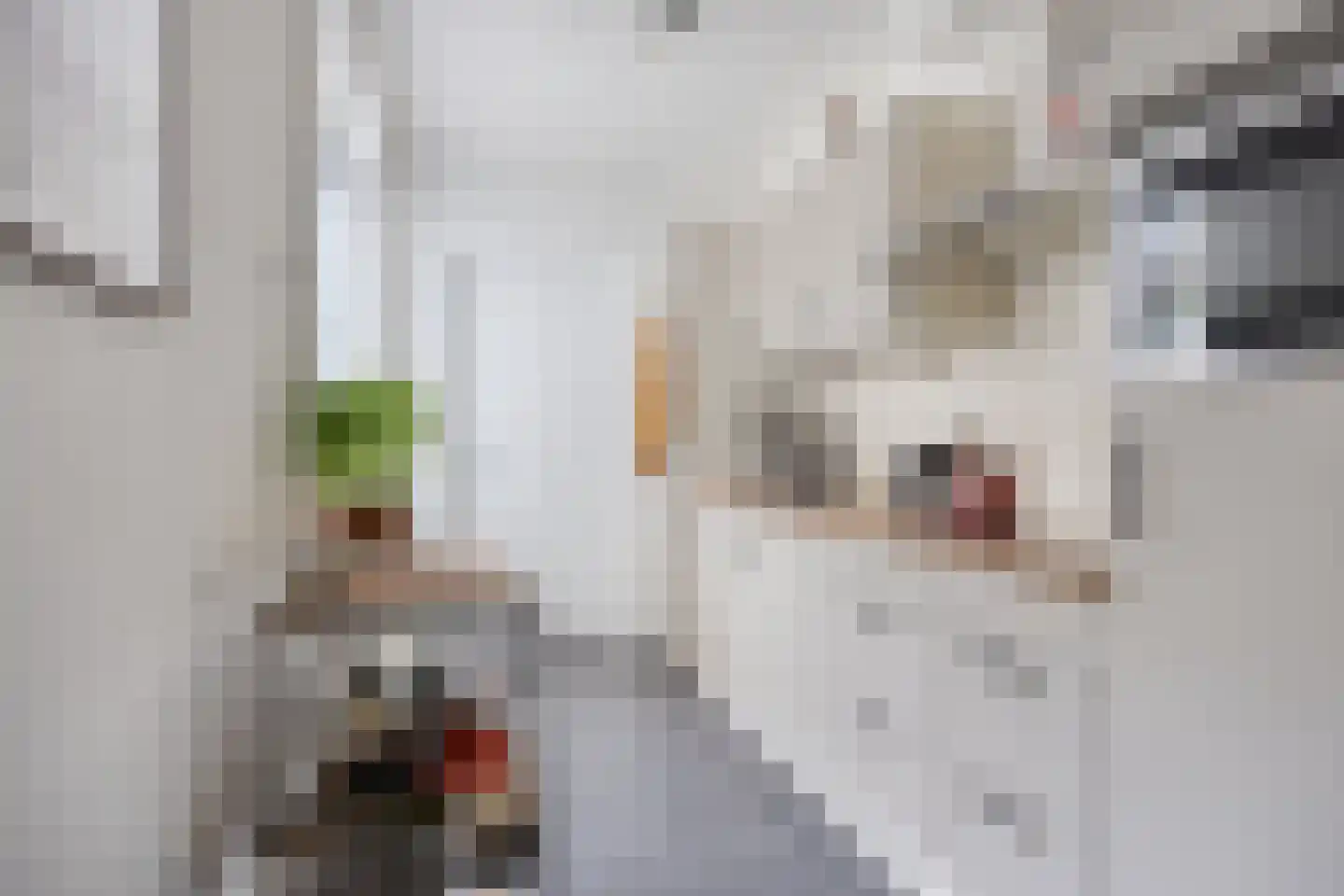 Kleine Berg 76 A Eindhoven thumbnail 4