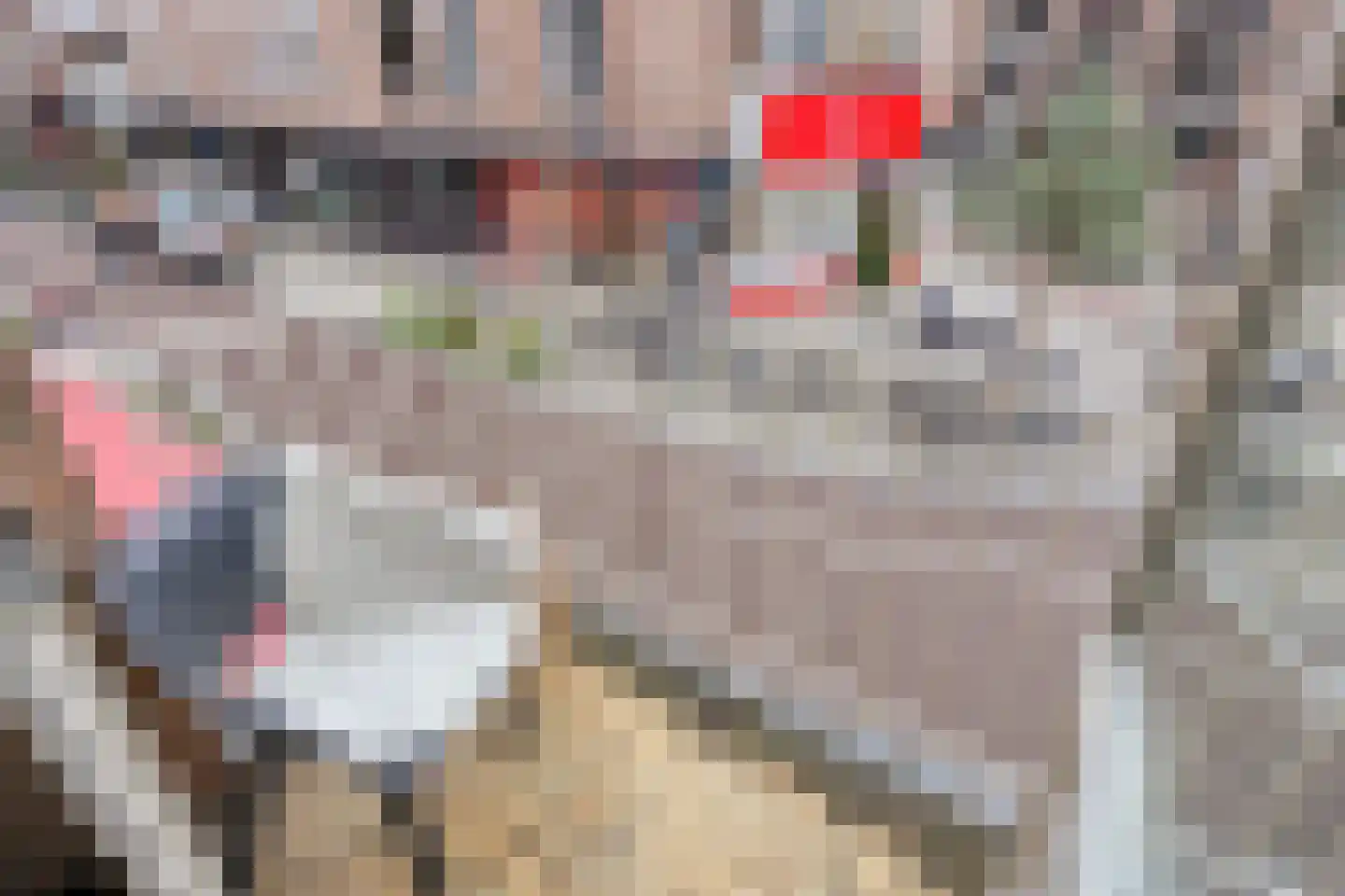Kleine Berg 76 A Eindhoven thumbnail 42