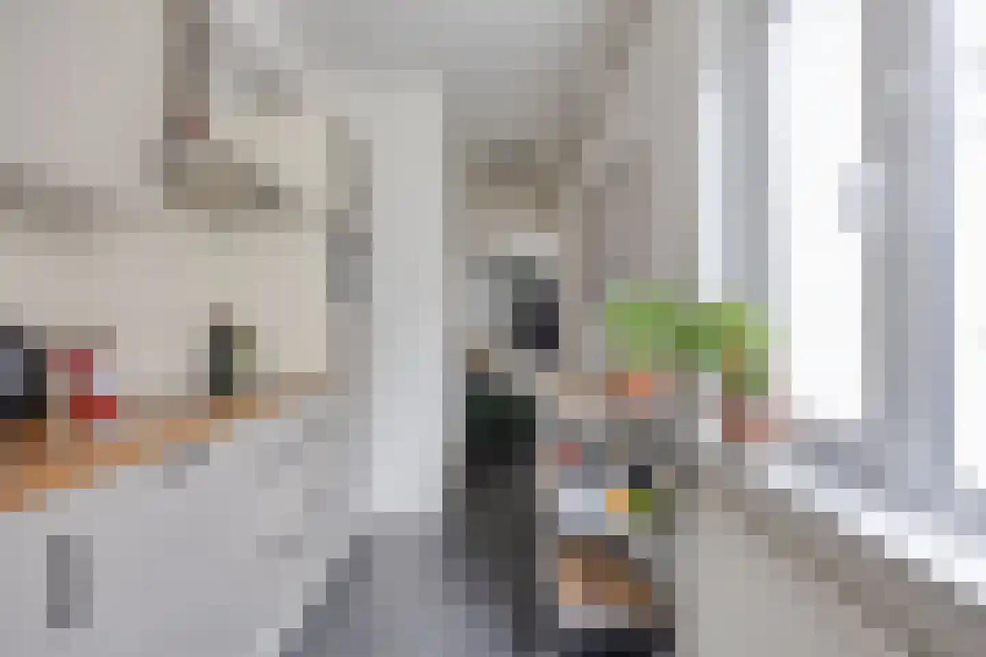 Kleine Berg 76 A Eindhoven thumbnail 44